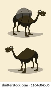 camels set vector illustration 