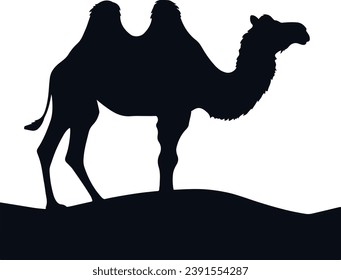 Camels Silhouettes On A White Background Vector Illustration 