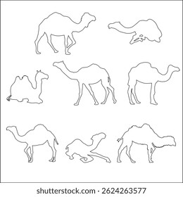Camels store fat, not water, in their humps to survive long desert journeys.