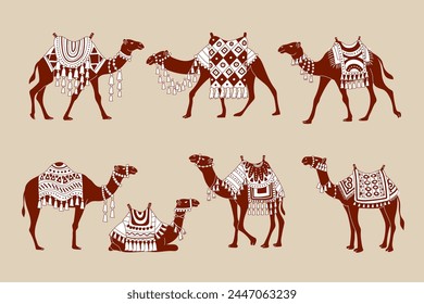 Camels. Stylized illustrations of domestic animals from hot countries deserts of sahara recent vector camels decorative collection