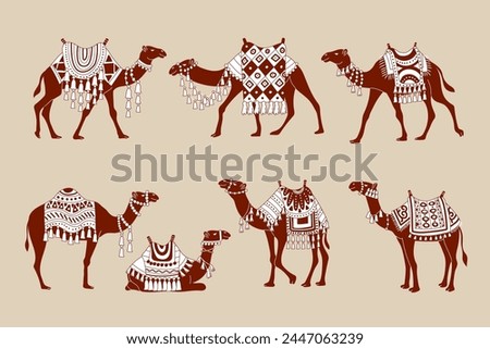 Camels. Stylized illustrations of domestic animals from hot countries deserts of sahara recent vector camels decorative collection