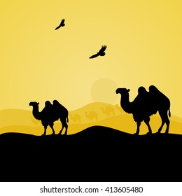 camels walking in the desert