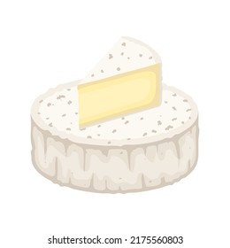 Camembert or brie cheese with white mold, vector illustration isolated on white background