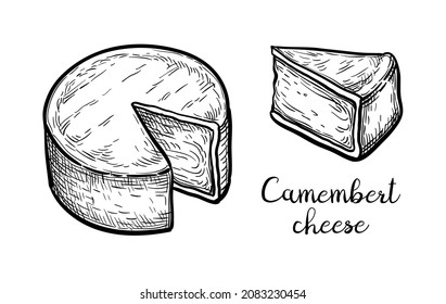 Camembert cheese. Ink sketch isolated on white background. Hand drawn vector illustration. Vintage style stroke drawing.