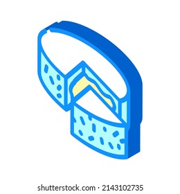 camembert cheese isometric icon vector. camembert cheese sign. isolated symbol illustration