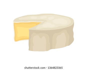 Camembert cheese on white background. Vector illustration.