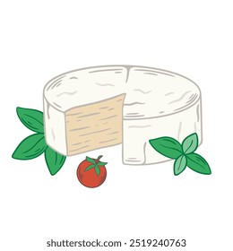 Queijo Camembert com raspas de manjericão e tomate cereja. Ilustração desenhada à mão da cabeça de queijo macio com tribo branca. Queijo delicado com textura nevada e bolor nobre, produto láteo, vetor 