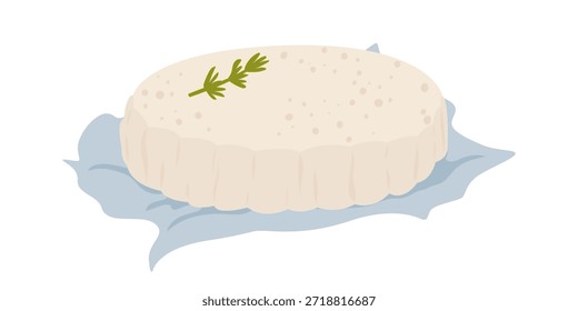 Camembert on parchment paper. Vector illustration isolated on white. Round brie cheese with rosemary spice.