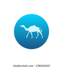 Camer Icon Vector. Modern Style