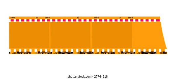 camera film. vector