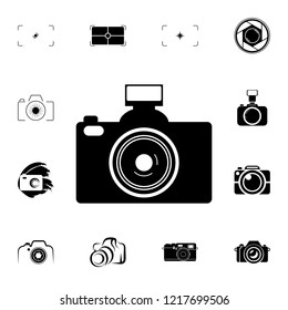 camera with flash icon. Detailed set of photo camera icons. Premium quality graphic design icon. One of the collection icons for websites, web design, mobile app on white background