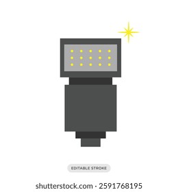 Camera flash light icon. Camera and photography symbol sign vector illustration in color fill style.