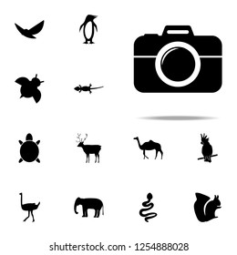 camera icon. zoo icons universal set for web and mobile