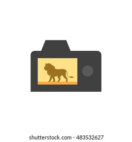 Camera icons in flat color style. Digital photography animal zoo safari lion