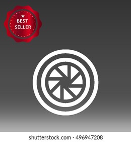 Camera Lens Vector Icon Illustration