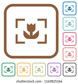 Camera macro mode simple icons in color rounded square frames on white background