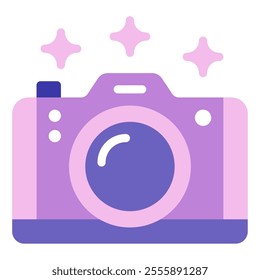 Camera New year icon illustration