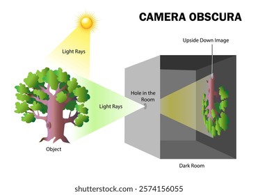 Camera Obscura. Instrument for forming images on a screen. Science education vector illustration