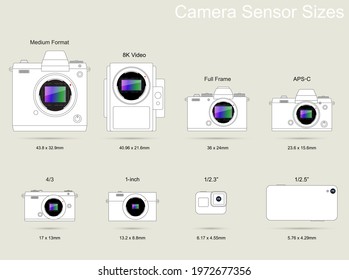 Camera Sensor Size Photography Guide