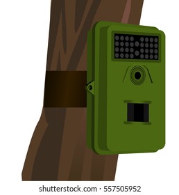 Camera Trap Installed In A Tree
