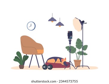 Camera-equipped Blogging Room With Armchair, Dumbbells, Lighting, Dog, And Adjustable Tripod with Smartphone