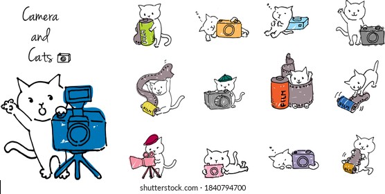 the cameraman cat illustration set