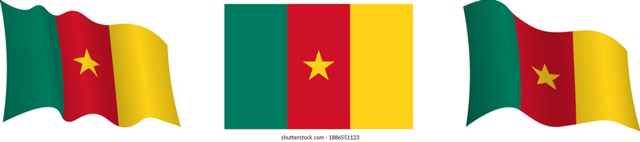 Cameroon flag in static position and in motion, fluttering in wind in exact colors and sizes, on white background