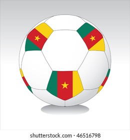 Cameroon soccer ball vector