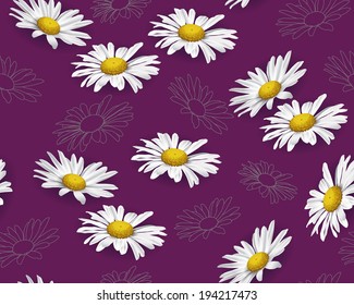 camomile background