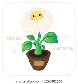 Camomile, daisy flower vector. Camomile, cute cartoon daisy flower vector illustration for nursery, child book, game. Doodle camomile, daisy. Kawaii cartoon camomile, daisy flower vector illustration