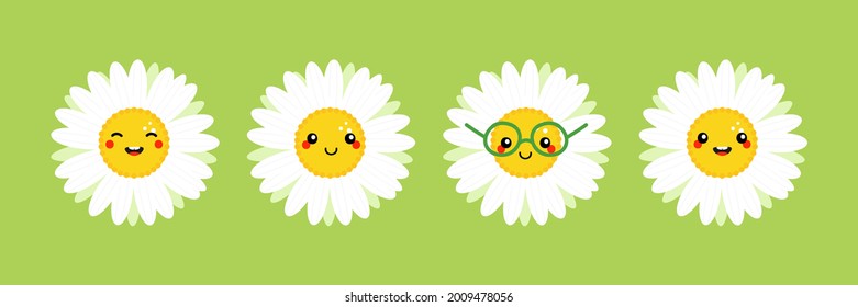 Camomile, daisy flowers characters set, collection cute cartoon style icon, illustration for nature design.