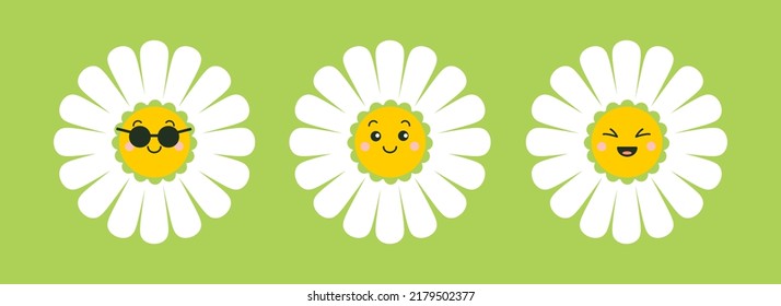 Camomile, daisy flowers characters set. illustration for nature design. Vector collection cute cartoon style icon.