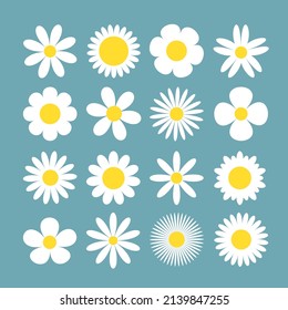 Camomile Daisy super big set. White chamomile icon. Growing concept. Cute round flower plant collection. Love card symbol. Flat design. Blue background. Isolated. Vector illustration