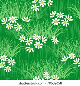 Camomile field seamless background