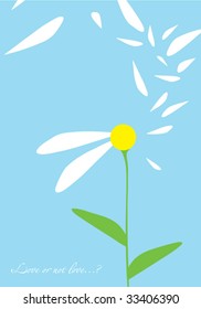camomile flower