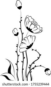 Camomile flower drawing template, vector graphic 