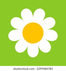 Camomile, flower great design for any purposes. Cartoon illustration with white camomile on green background.