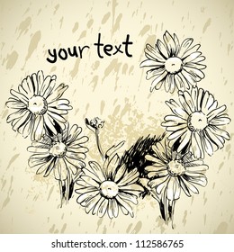 camomile flower grunge frame