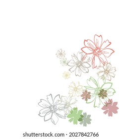 camomile flower vector line bright colorful card background