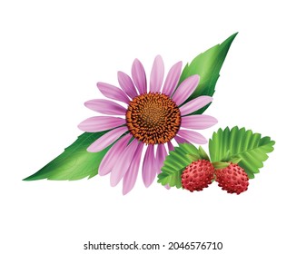 Camomile flower and wild strawberry on white background realistic vector illustration