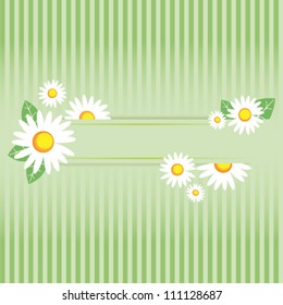 Camomile frame