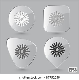 Camomile. Glass buttons. Vector illustration.