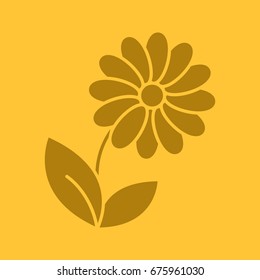 Camomile glyph color icon. Silhouette symbol. Flower. Negative space. Vector isolated illustration