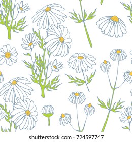 camomile hand drawn seamless pattern vector