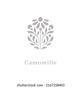 camomile, herb flower, vector symbol design