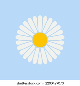 Camomile Icon. Daisy. Vector Illustration. Isolated.