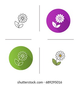Camomile icon. Flat design, linear and color styles. Isolated vector illustrations