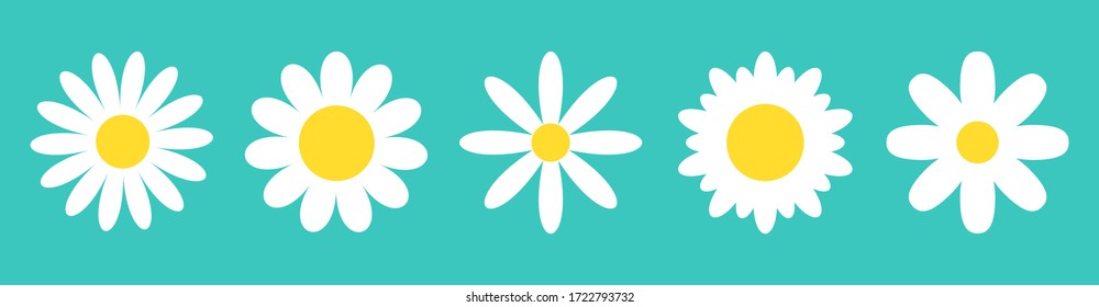 Camomile line set. White daisy chamomile icon. Cute round flower plant nature collection. Love card symbol. Growing concept. Decoration element. Flat design. Green background. Isolated. Vector