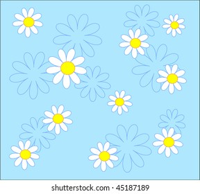 camomile on the blue background