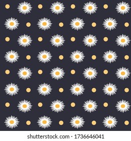 Camomile on a dark background - pattern - vector. Fashion. Wildflowers.